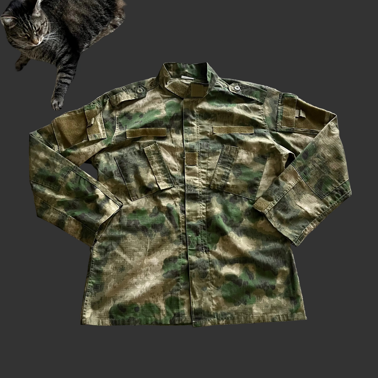 Atacs FG / Moss Set